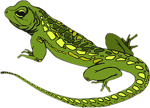 clipart pictures of lizards - photo #19