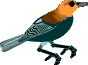 free bird clipart