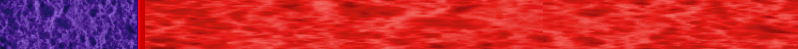 Border