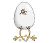 Easter chick hatching