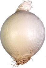white onion