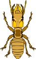 Termites Clipart