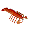 Lobster Animation