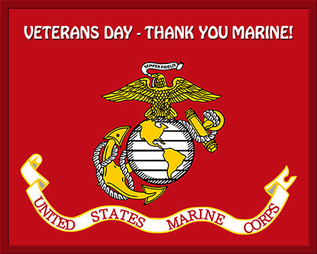 veterans day thank you graphic